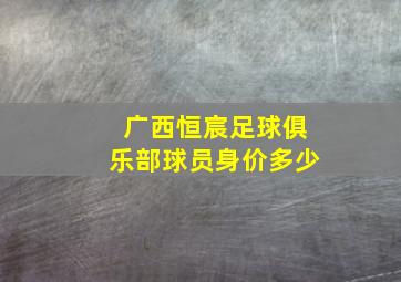 广西恒宸足球俱乐部球员身价多少