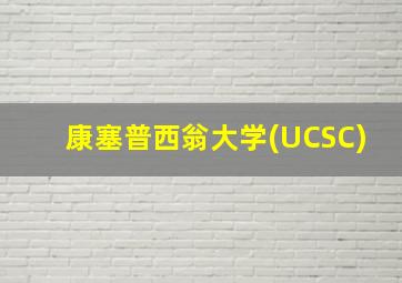 康塞普西翁大学(UCSC)