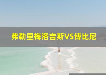 弗勒里梅洛吉斯VS博比尼