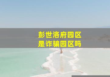 彭世洛府园区是诈骗园区吗