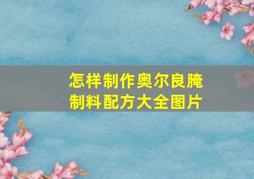 怎样制作奥尔良腌制料配方大全图片