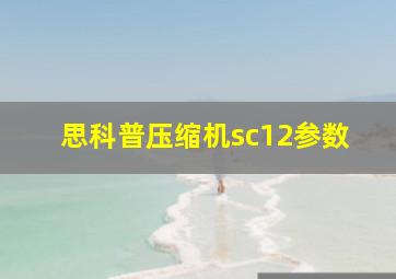 思科普压缩机sc12参数