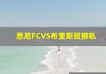 悉尼FCVS布里斯班狮吼