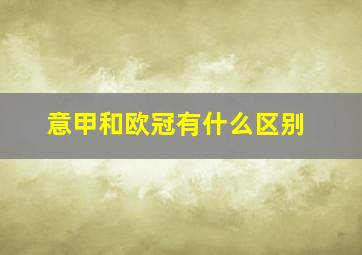 意甲和欧冠有什么区别