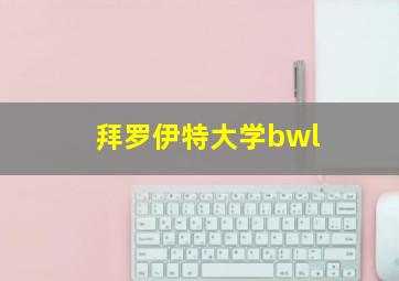 拜罗伊特大学bwl