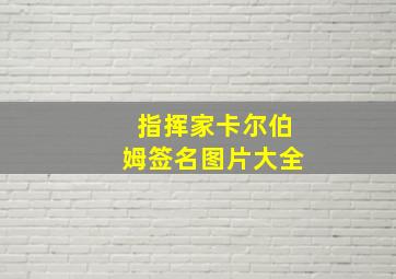 指挥家卡尔伯姆签名图片大全