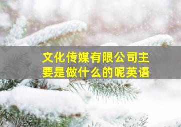 文化传媒有限公司主要是做什么的呢英语