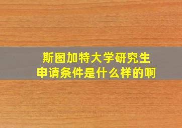 斯图加特大学研究生申请条件是什么样的啊