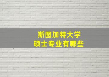 斯图加特大学硕士专业有哪些