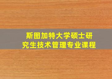 斯图加特大学硕士研究生技术管理专业课程