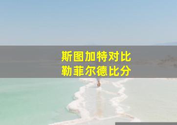 斯图加特对比勒菲尔德比分