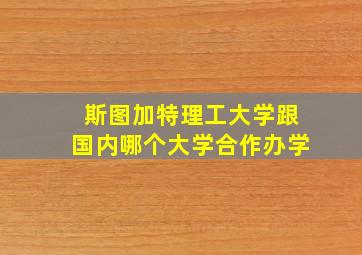 斯图加特理工大学跟国内哪个大学合作办学