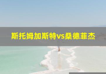 斯托姆加斯特vs桑德菲杰