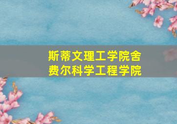 斯蒂文理工学院舍费尔科学工程学院