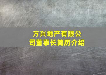 方兴地产有限公司董事长简历介绍