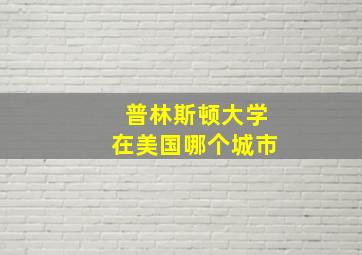 普林斯顿大学在美国哪个城市