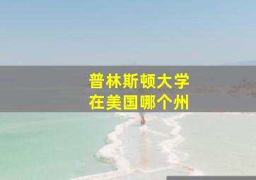 普林斯顿大学在美国哪个州