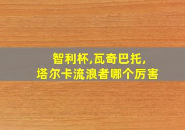 智利杯,瓦奇巴托,塔尔卡流浪者哪个厉害