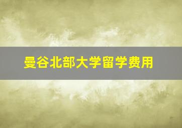 曼谷北部大学留学费用