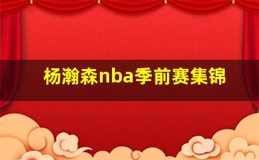 杨瀚森nba季前赛集锦