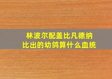 林波尔配盖比凡德纳比出的幼鸽算什么血统