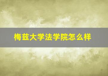 梅兹大学法学院怎么样