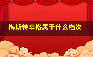 梅斯特辛格属于什么档次