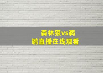 森林狼vs鹈鹕直播在线观看