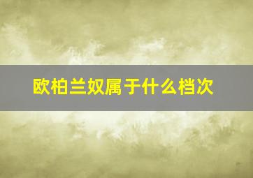 欧柏兰奴属于什么档次