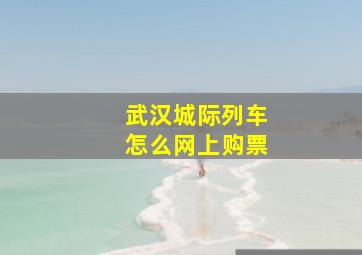 武汉城际列车怎么网上购票