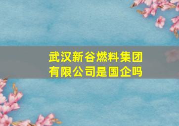 武汉新谷燃料集团有限公司是国企吗