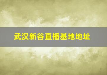 武汉新谷直播基地地址