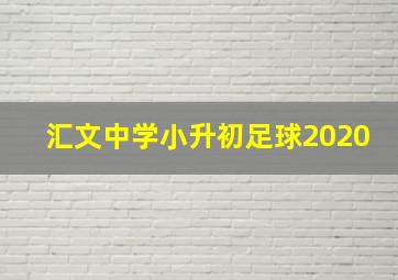 汇文中学小升初足球2020