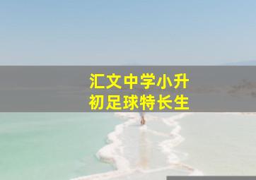 汇文中学小升初足球特长生