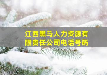 江西黑马人力资源有限责任公司电话号码