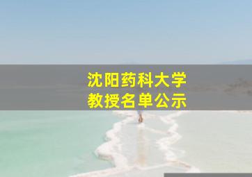 沈阳药科大学教授名单公示