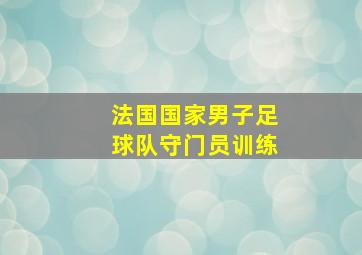 法国国家男子足球队守门员训练