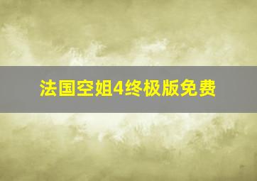 法国空姐4终极版免费