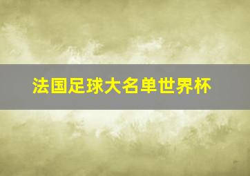 法国足球大名单世界杯