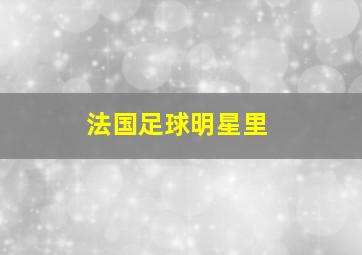 法国足球明星里