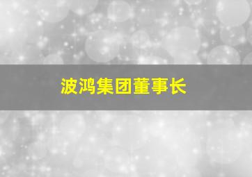 波鸿集团董事长