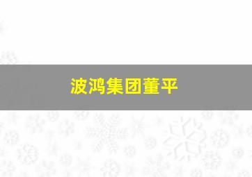 波鸿集团董平