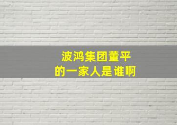 波鸿集团董平的一家人是谁啊