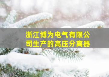 浙江博为电气有限公司生产的高压分离器