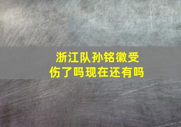 浙江队孙铭徽受伤了吗现在还有吗