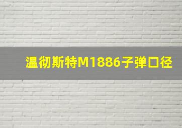 温彻斯特M1886子弹口径