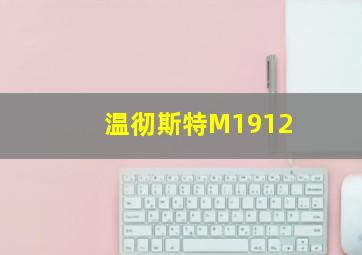 温彻斯特M1912