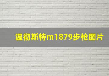 温彻斯特m1879步枪图片