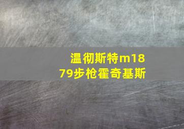 温彻斯特m1879步枪霍奇基斯