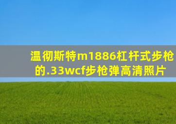 温彻斯特m1886杠杆式步枪的.33wcf步枪弹高清照片